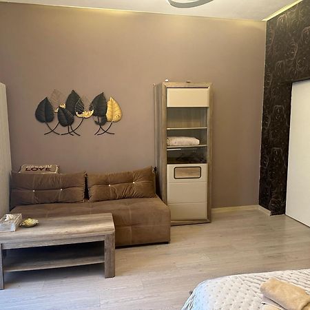 Appartement Mystic Dream House Braşov Extérieur photo